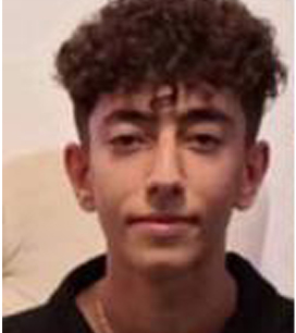 taha safari