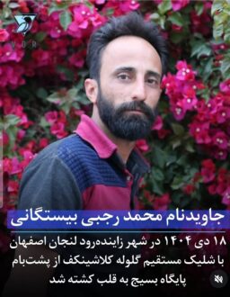 Mohammad Rajabi Bistgani